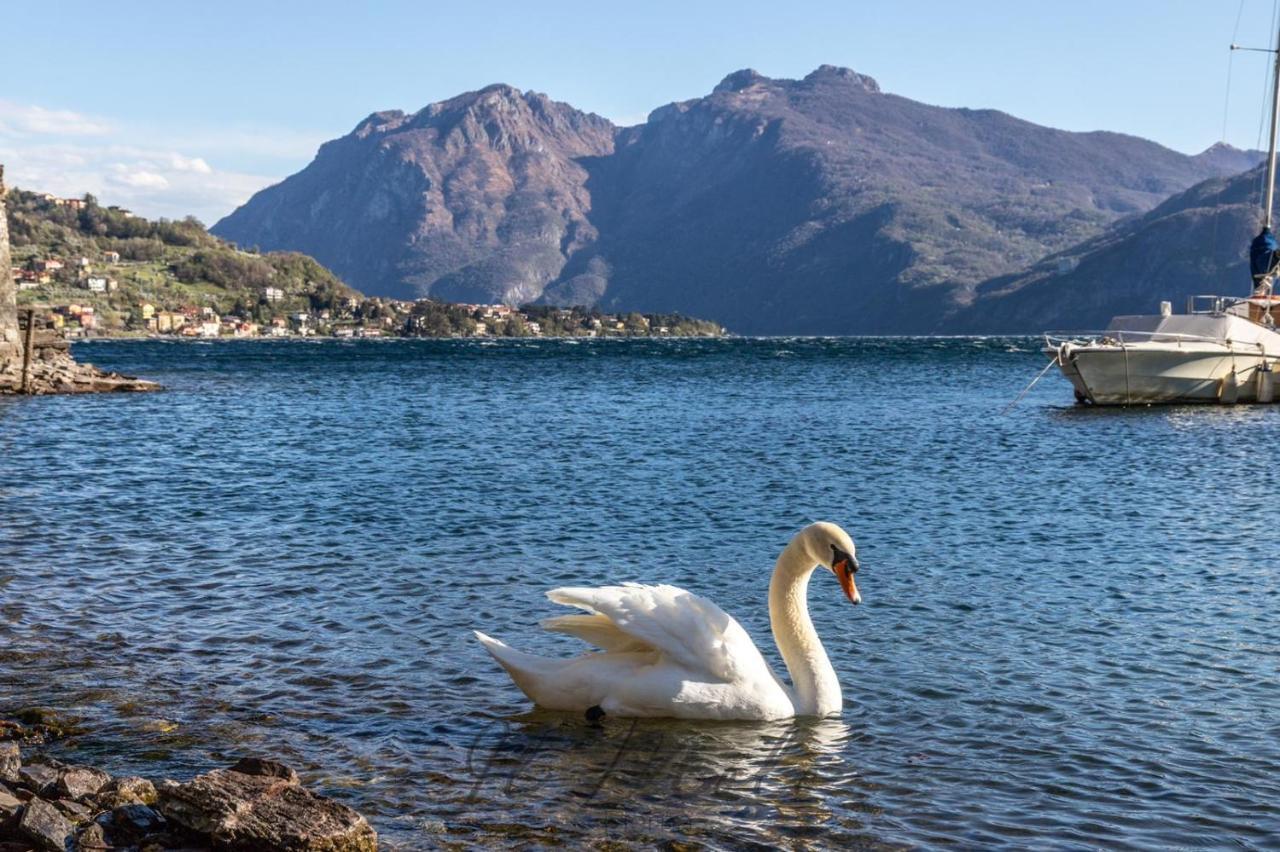 -Appartamento Il Molo- A Due Passi Del Lago Lierna Luaran gambar